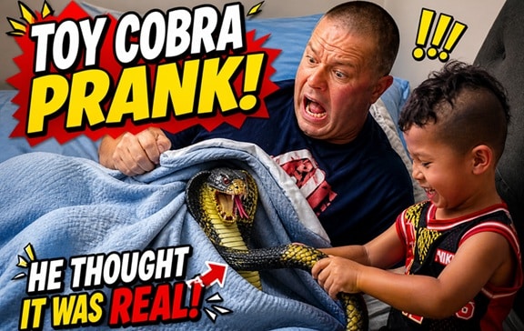 Funny Kato Boon small Snake Battle Who Catches A King Cobra